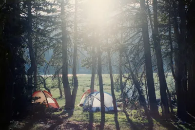 img146 (2) (Large).jpg